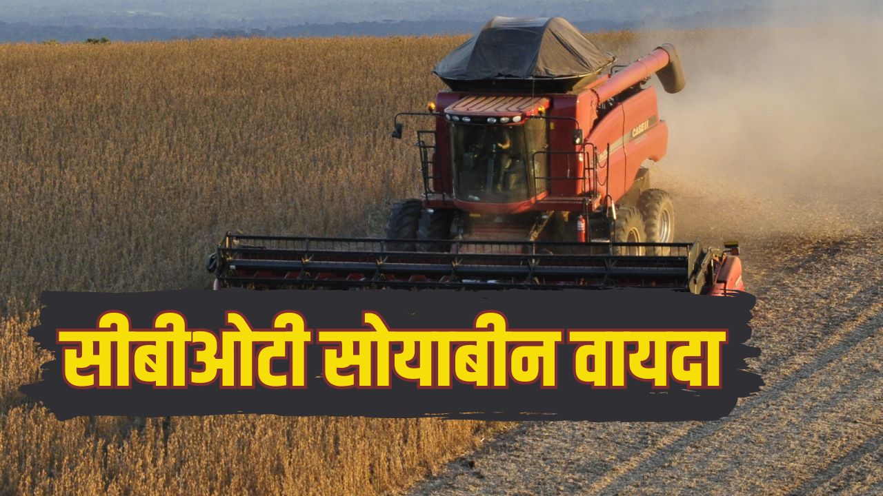 CBOT soybean futures