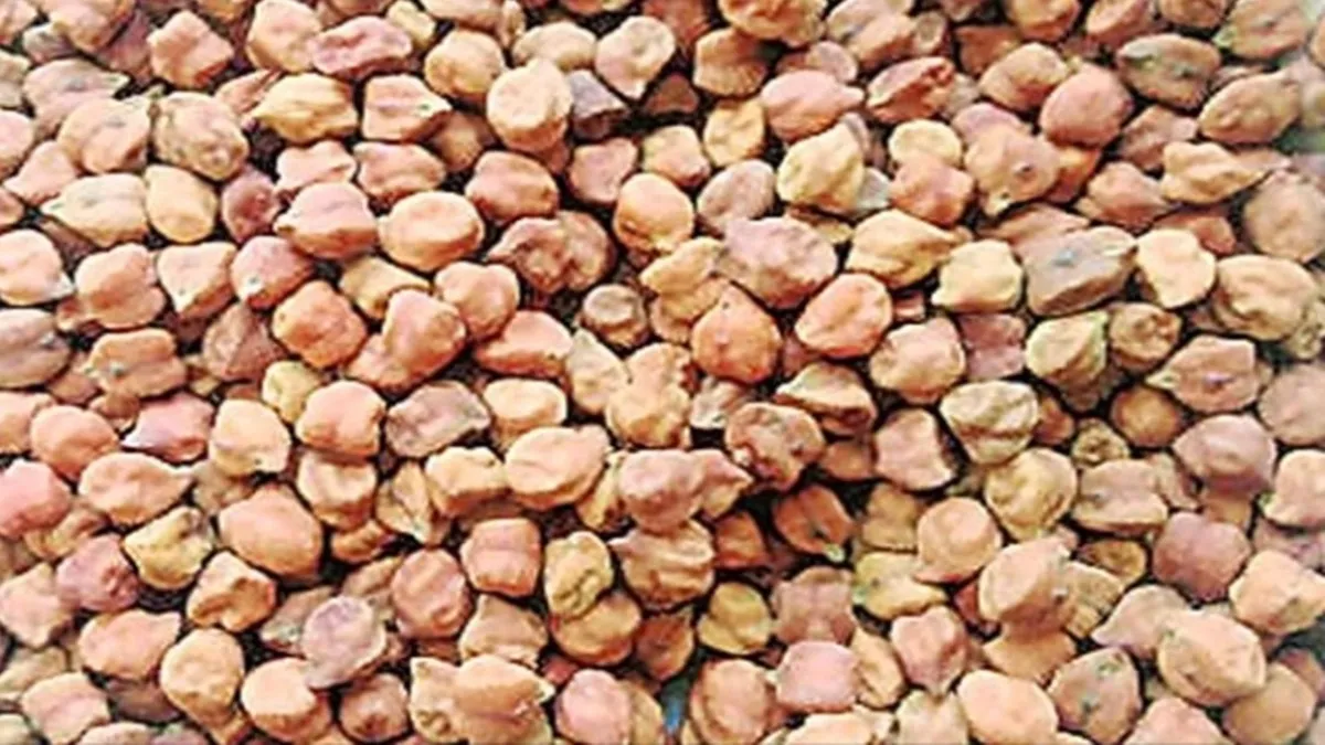 Chana Procurement in Karnataka