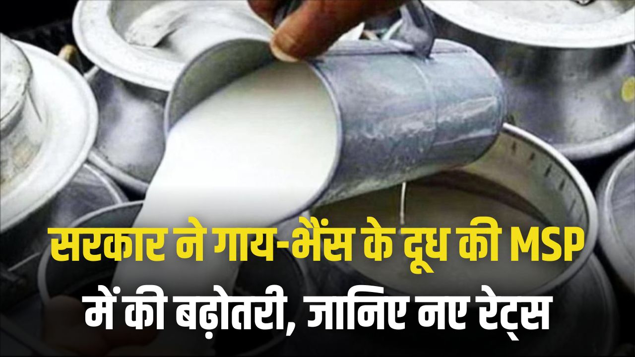 Himachal Pradesh hikes MSP for milk from April 1