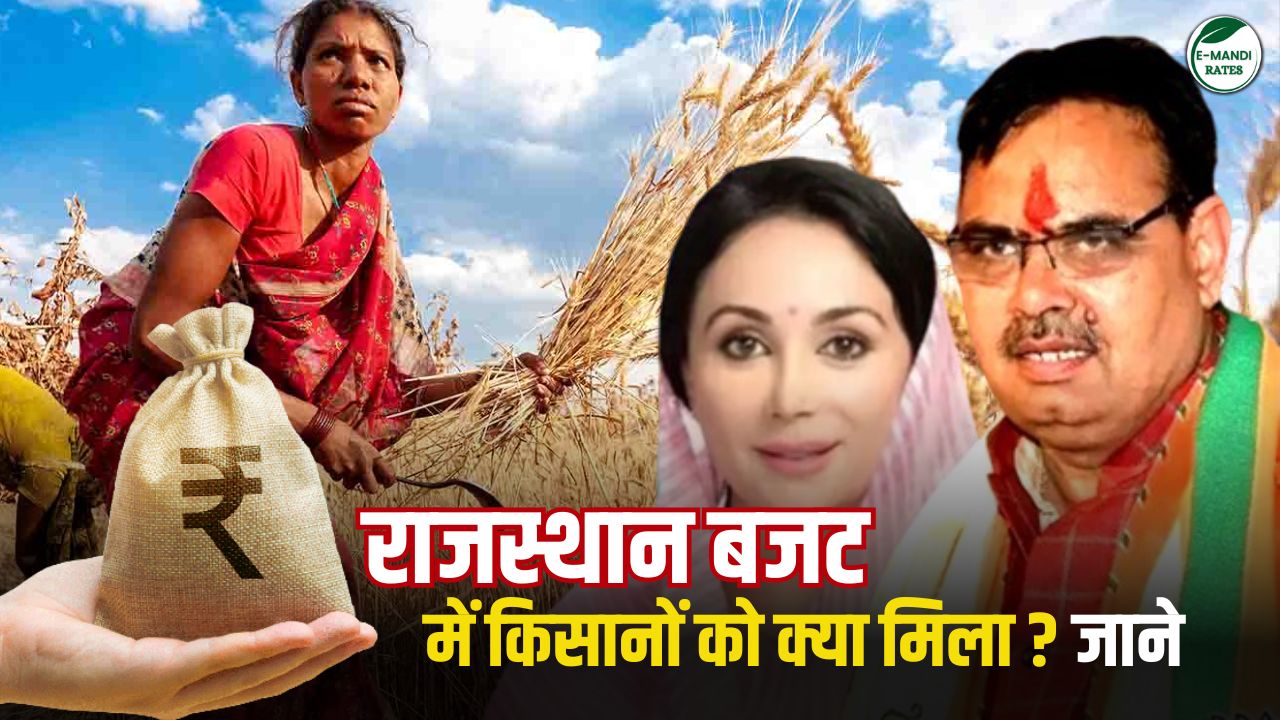 Rajasthan Budget 2024 Farmers