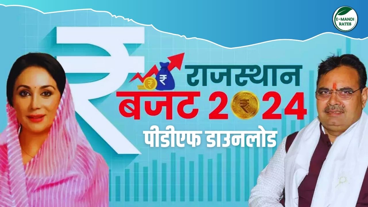 राजस्थान बजट 2024 पीडीएफ डाउनलोड Rajasthan Budget 202425 PDF In Hindi