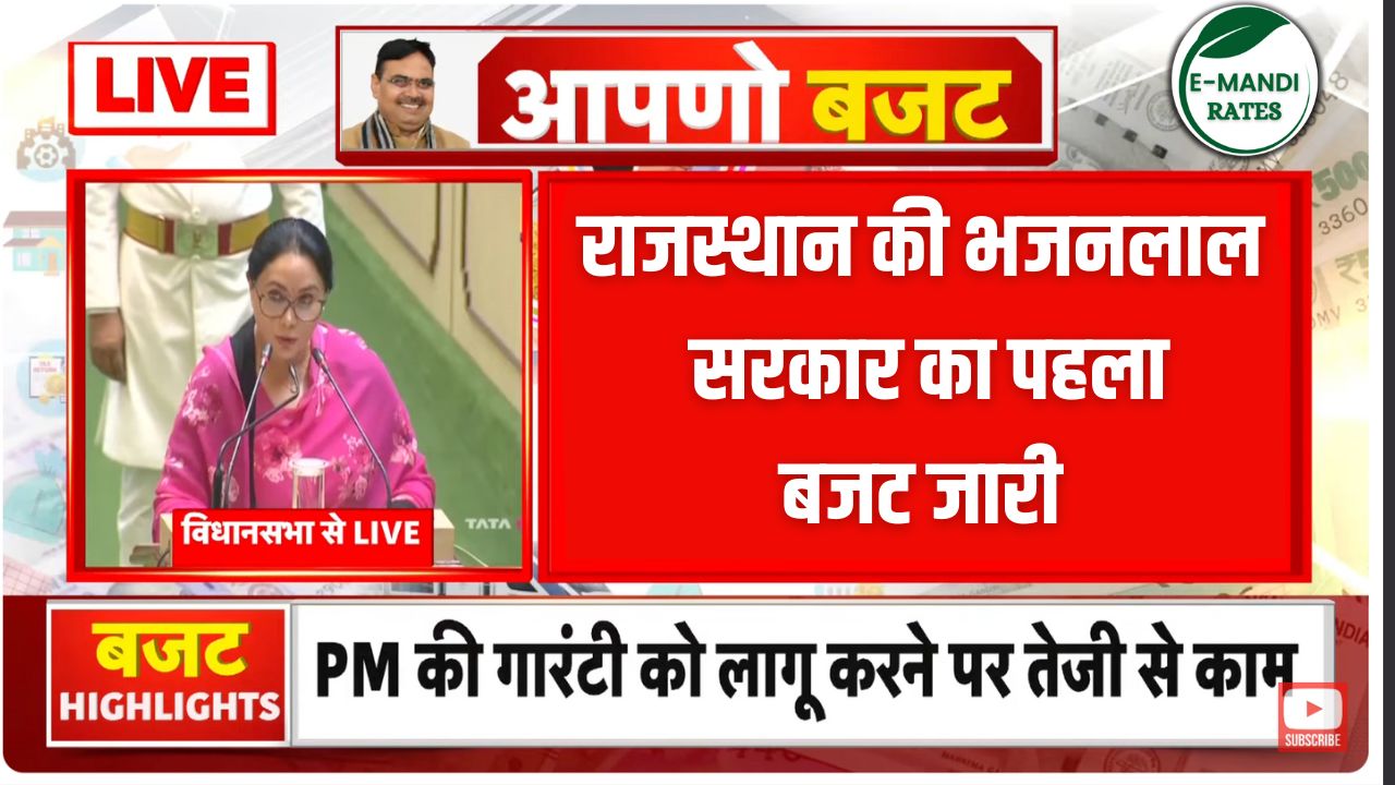 Rajasthan Budget 2024
