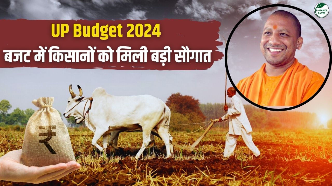 UP Budget 2024 For Farmers