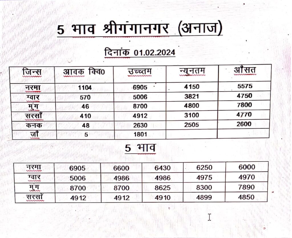 श्री गंगानगर मंडी भाव 01/02/2024