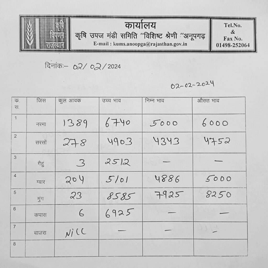 अनूपगढ़ मंडी भाव 02-02-2024