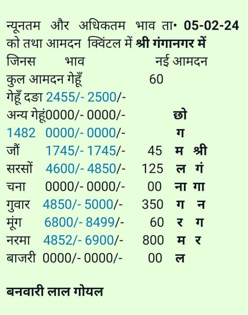 श्री गंगानगर मंडी भाव 5/2/2024