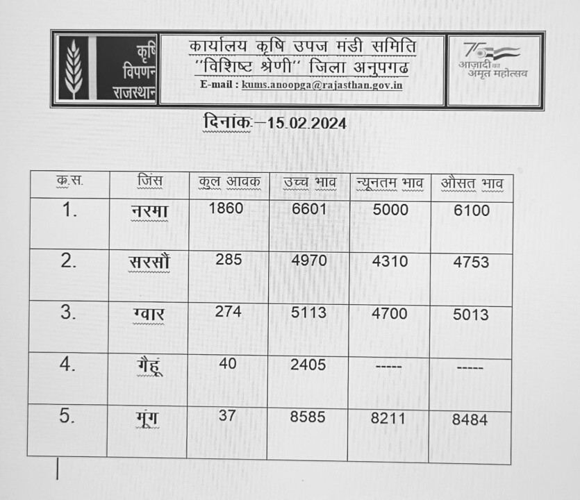 अनूपगढ़ मंडी के भाव