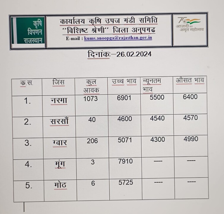 अनूपगढ़ मंडी भाव
