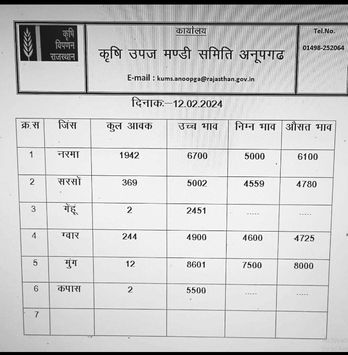 अनूपगढ़ मंडी का बोली भाव आज