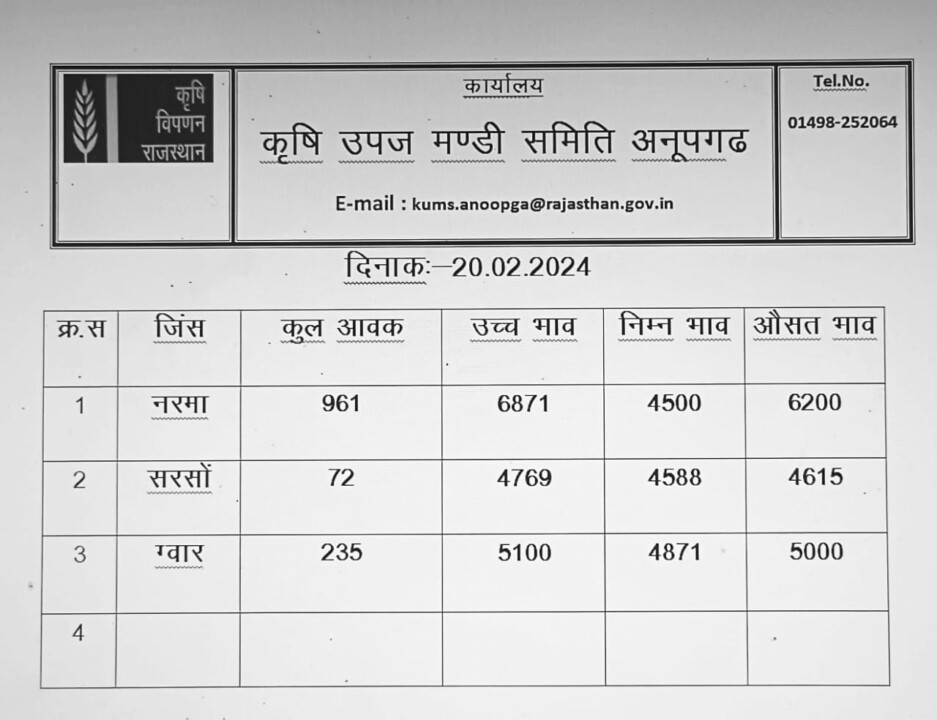 अनूपगढ़ मंडी भाव 20 फ़रवरी