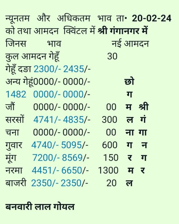 श्री गंगानगर मंडी भाव 20-02-2024