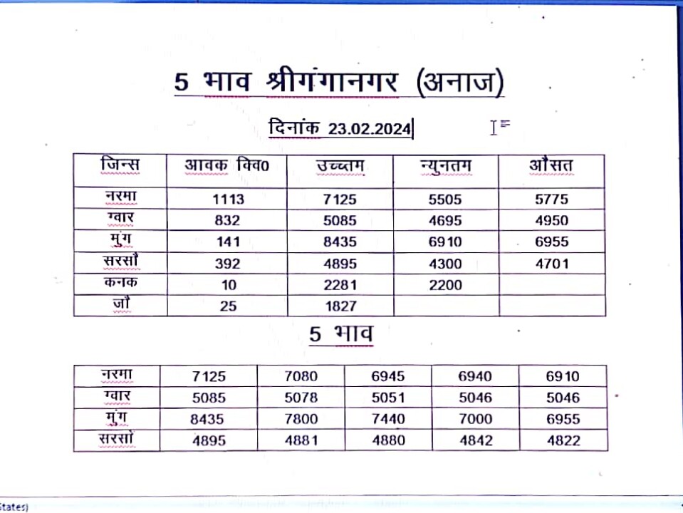 श्री गंगानगर मंडी भाव 23/12/2024