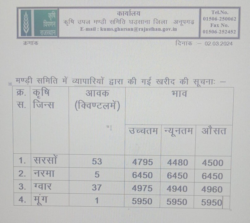 घड़साना मंडी भाव 02/03/2024