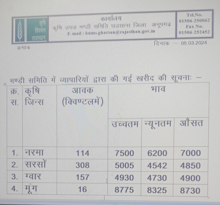 घड़साना मंडी भाव 5-3-24