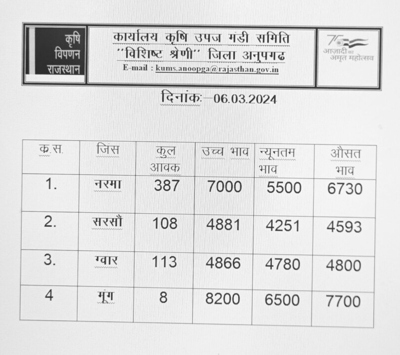 अनूपगढ़ मंडी भाव 06/03/2024