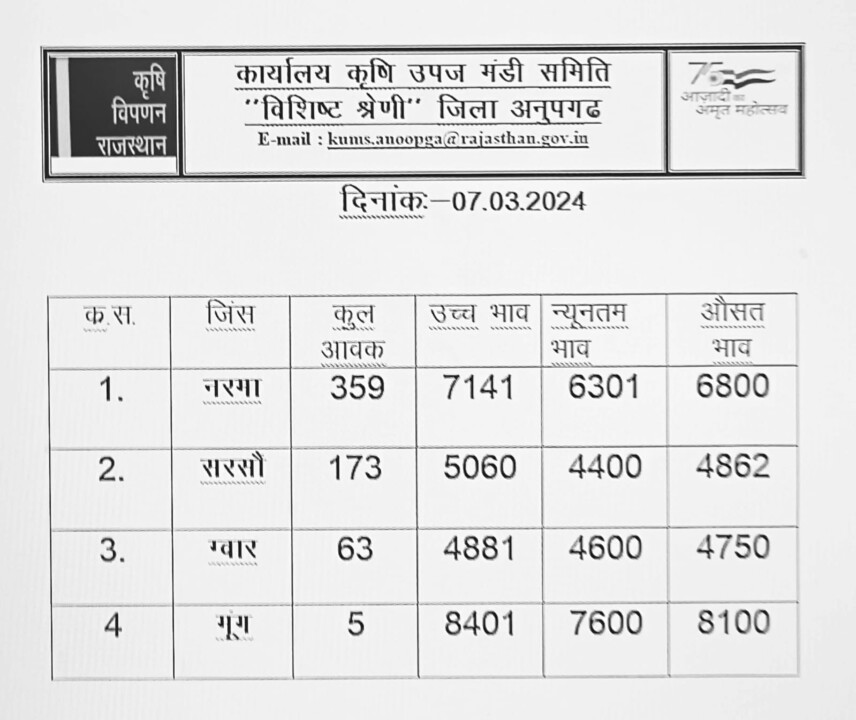 अनूपगढ़ मंडी भाव 07-03-2024