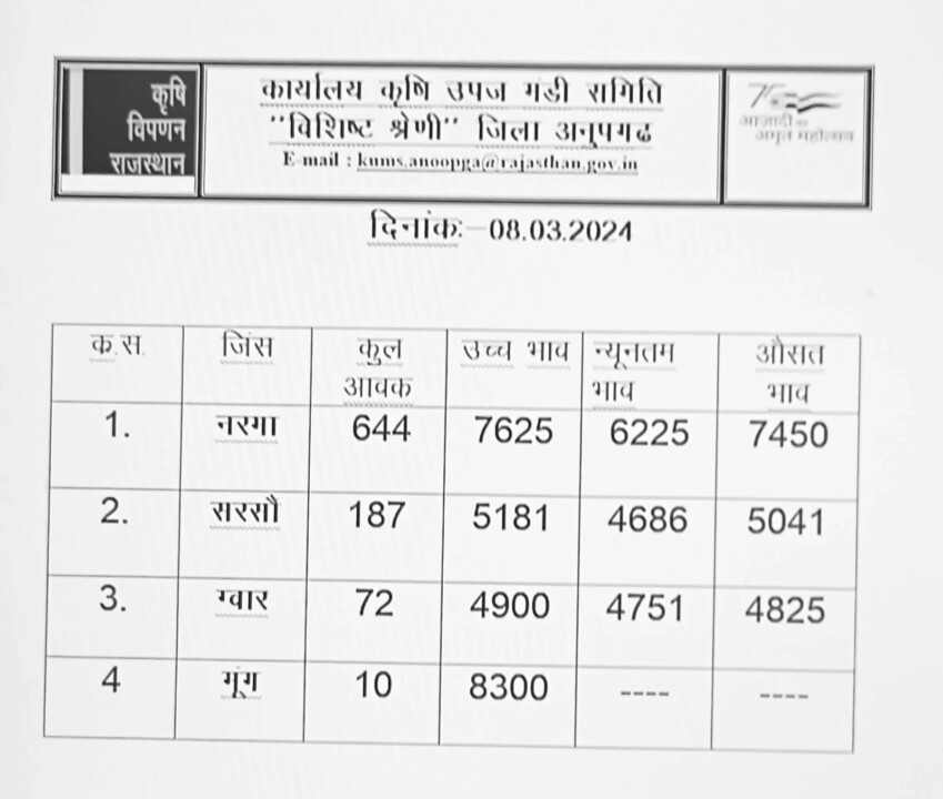अनूपगढ़ मंडी भाव 08-03-2024