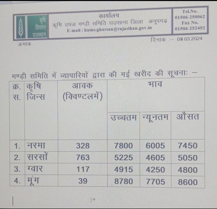 घड़साना मंडी भाव 9 मार्च 2024