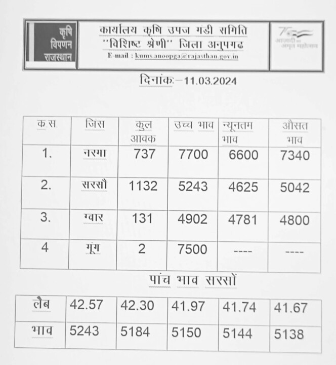अनूपगढ़ मंडी भाव 11-03-2024