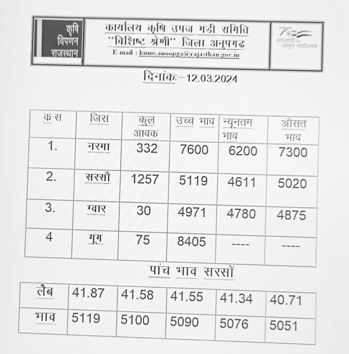 अनूपगढ़ मंडी भाव 12-03-2024