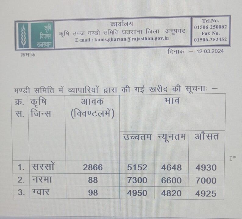 घड़साना मंडी भाव 12-03-2024