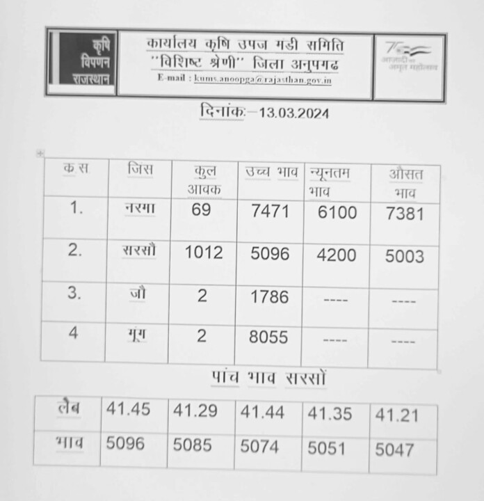 अनूपगढ़ मंडी भाव 13-03-2024