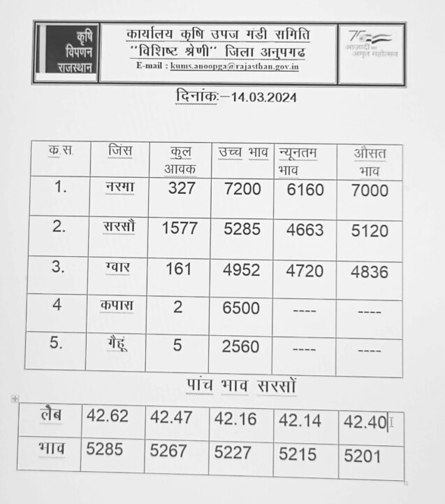 अनूपगढ़ मंडी भाव 14/03/2024