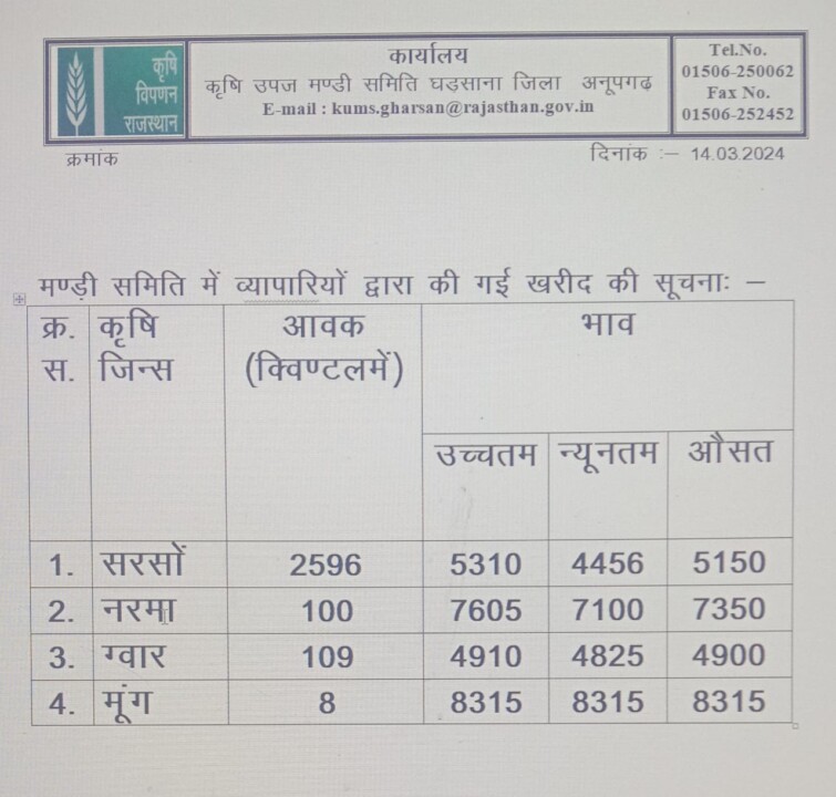 घड़साना मंडी भाव 14-03-2024