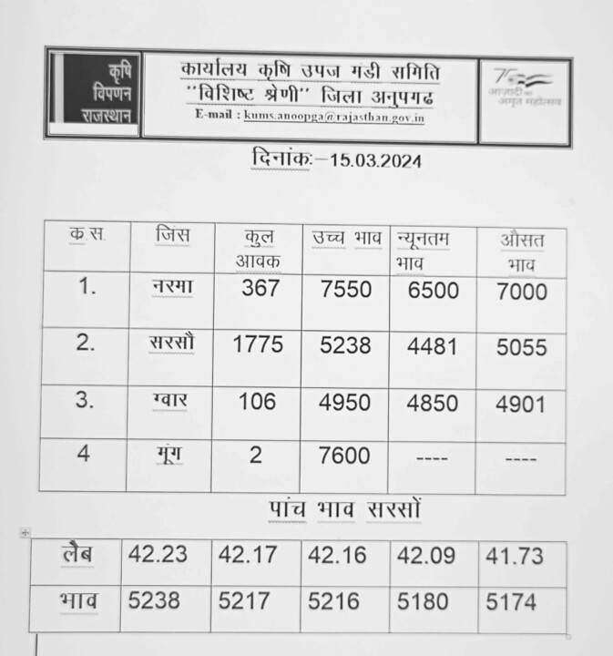 अनूपगढ़ मंडी रेट 15 मार्च