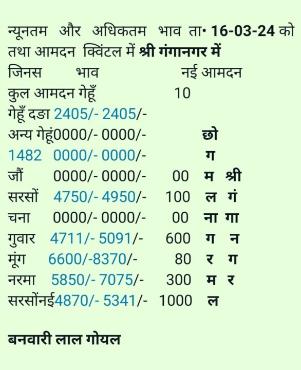 श्री गंगानगर मण्डी का भाव 16/03/2024