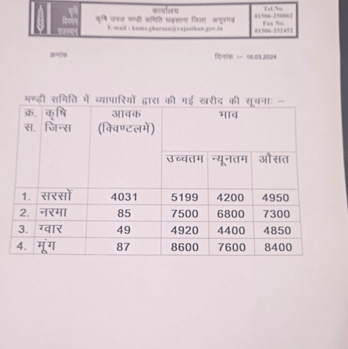 घड़साना मंडी के भाव 16.03.2024