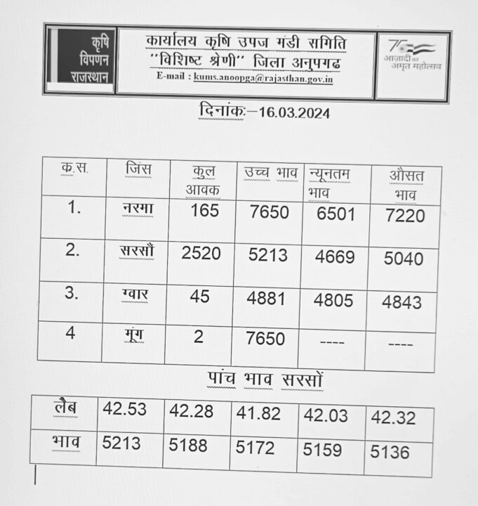 अनूपगढ़ मंडी का रेट 16-03-2024