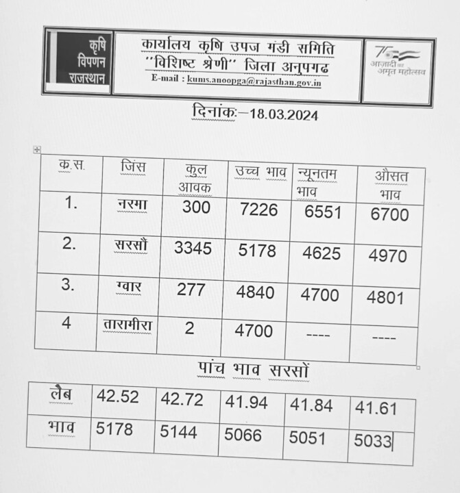 अनूपगढ़ मंडी का रेट 18-03-2024