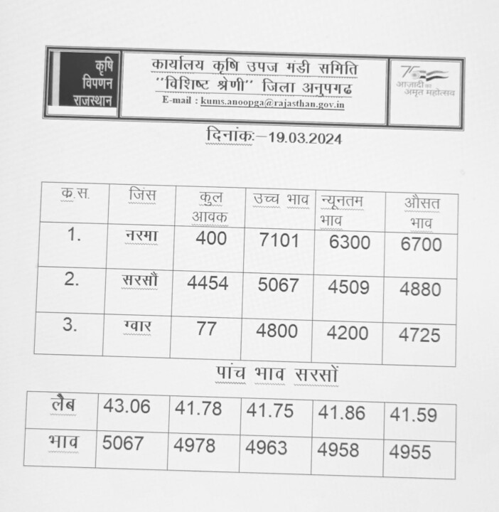 अनूपगढ़ मंडी का रेट 19-03-2024