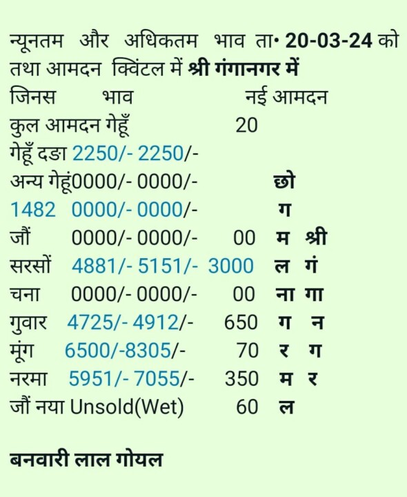 श्री गंगानगर मण्डी का भाव 20/03/2024