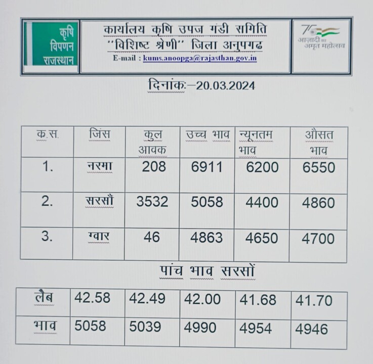 अनूपगढ़ मंडी का रेट 20-03-2024