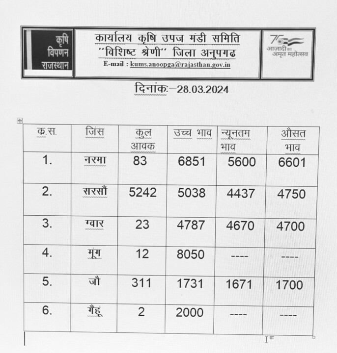 अनूपगढ़ मंडी भाव 28-03-2024