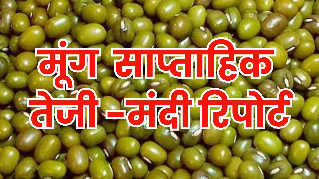 moong saptahik teji mandi
