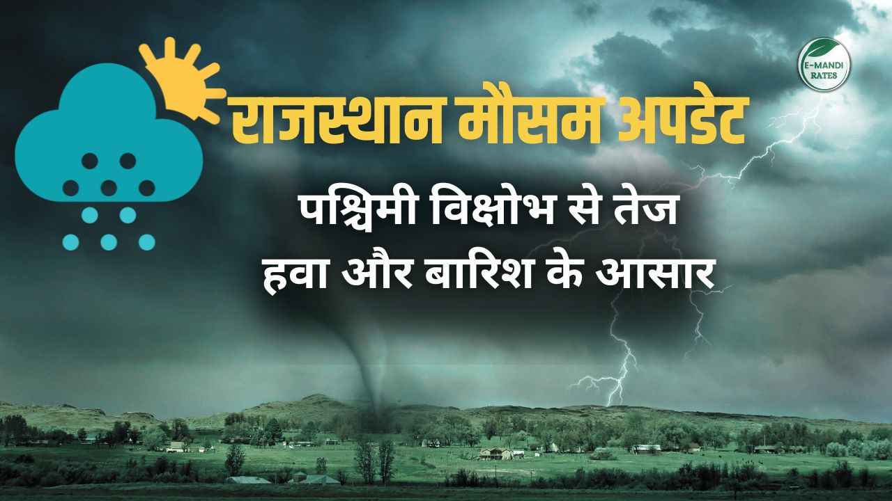 weather forecast for Jaipur, Rajasthan, India