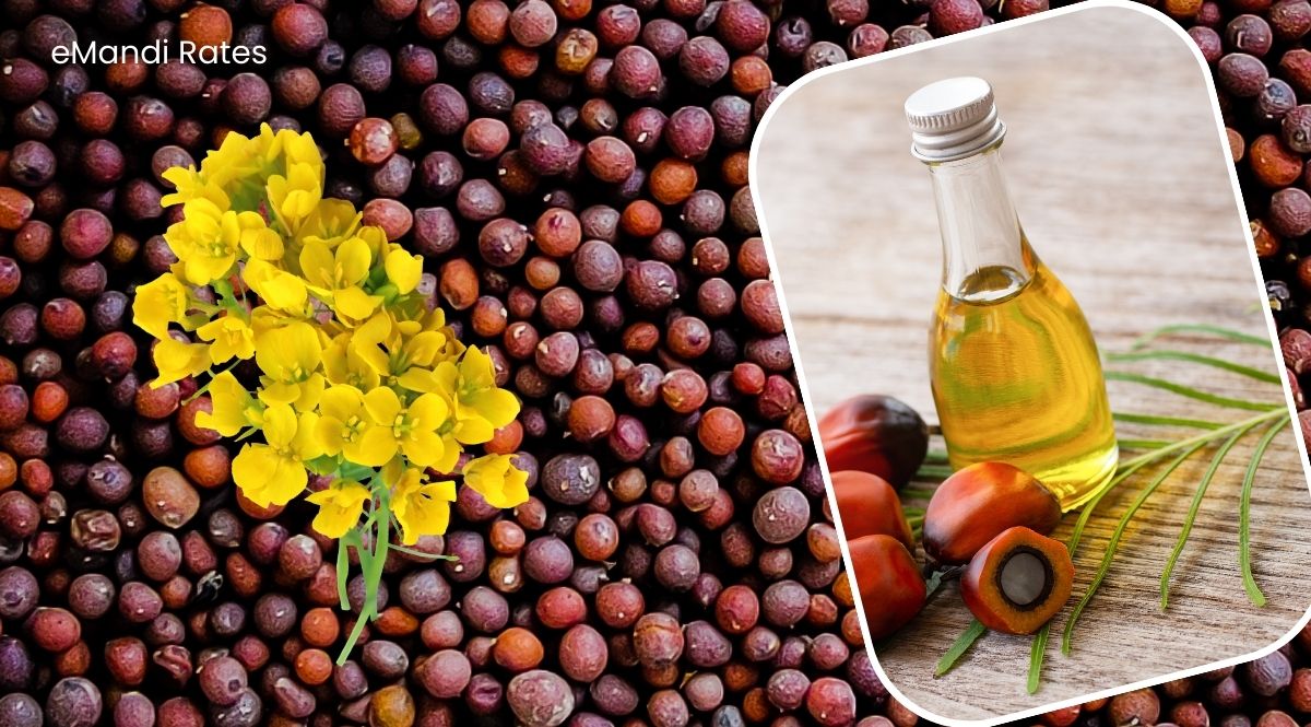 Mustard Prices new rate