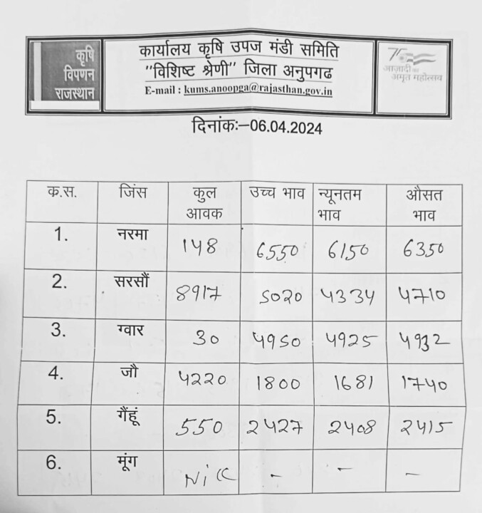 अनूपगढ़ मंडी भाव 06-04-2024
