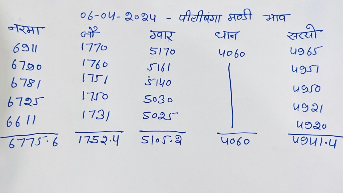 पीलीबंगा मंडी का रेट 06-04-2024