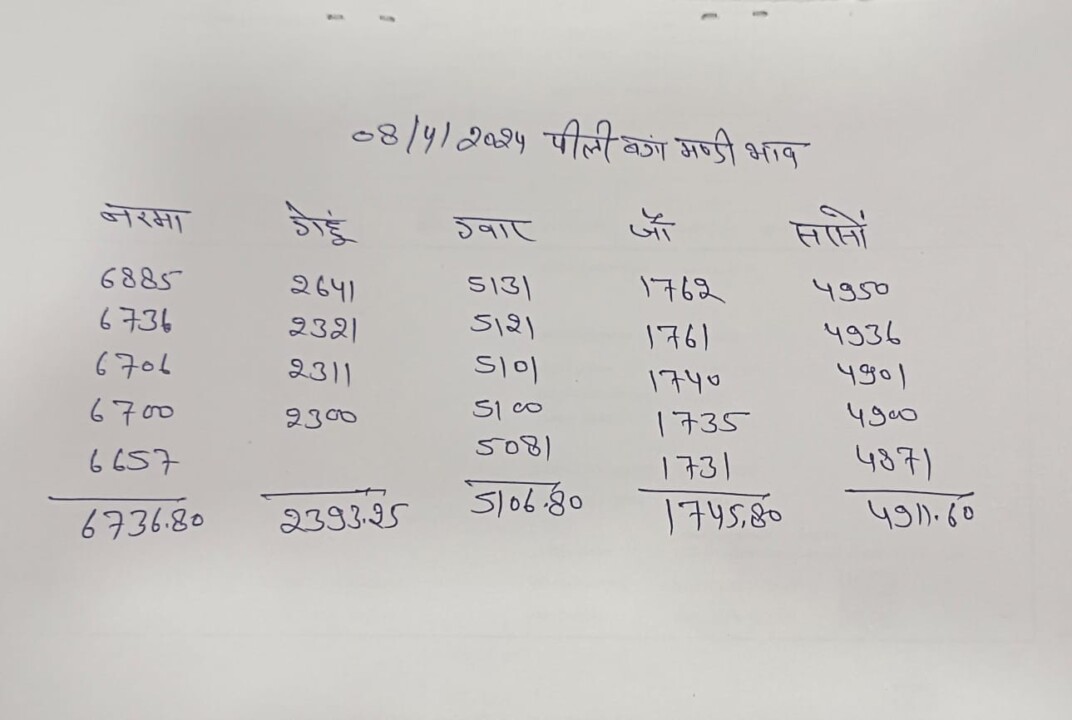 पीलीबंगा अनाज मंडी भाव 8 अप्रैल 2024
