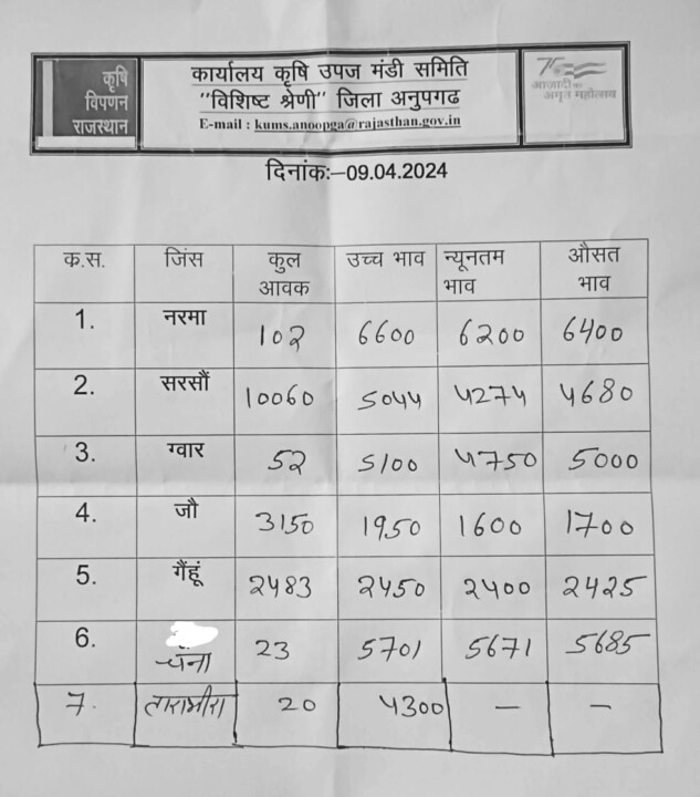 अनूपगढ़ मंडी के भाव 9 अप्रैल 2024