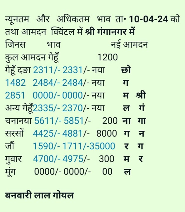 श्री गंगानगर अनाज मंडी रेट 10 अप्रैल 2024