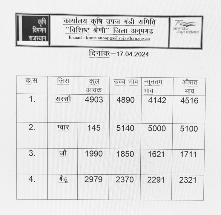 अनूपगढ़ मंडी भाव 17-04-2024