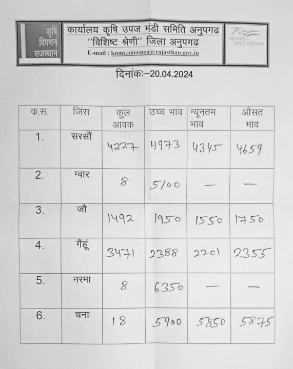 अनूपगढ़ मंडी भाव 20-04-2024