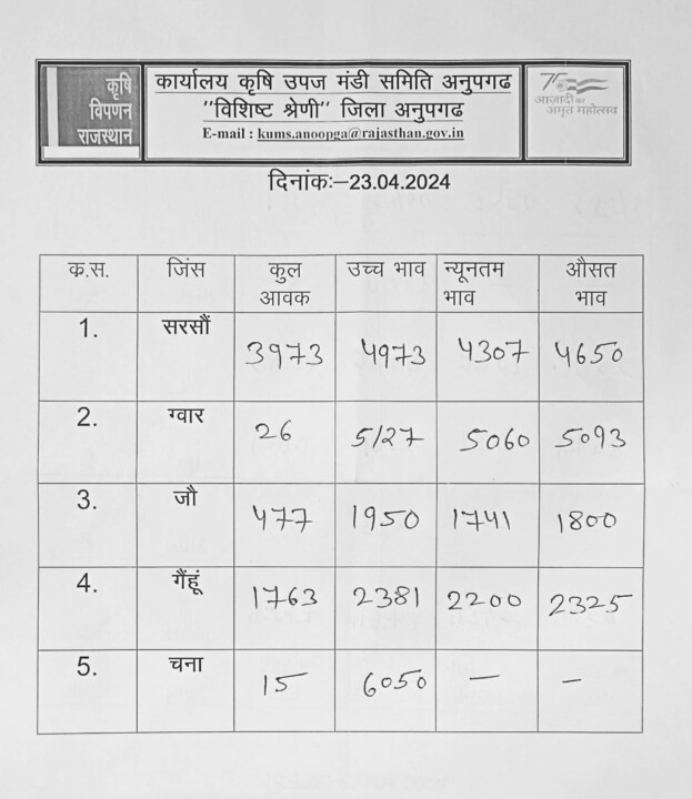 अनूपगढ़ मंडी भाव 23-04-2024