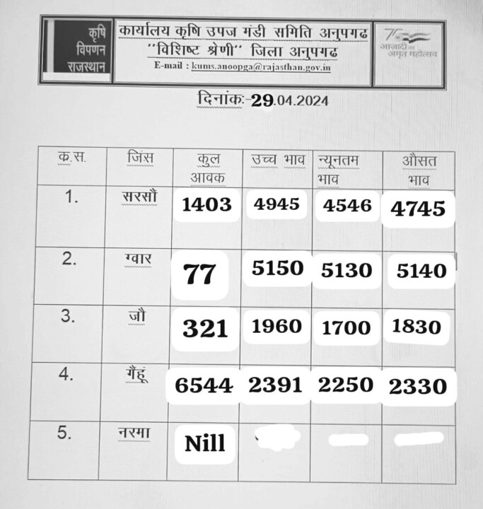 अनूपगढ़ मंडी भाव 29 तारीख़ का