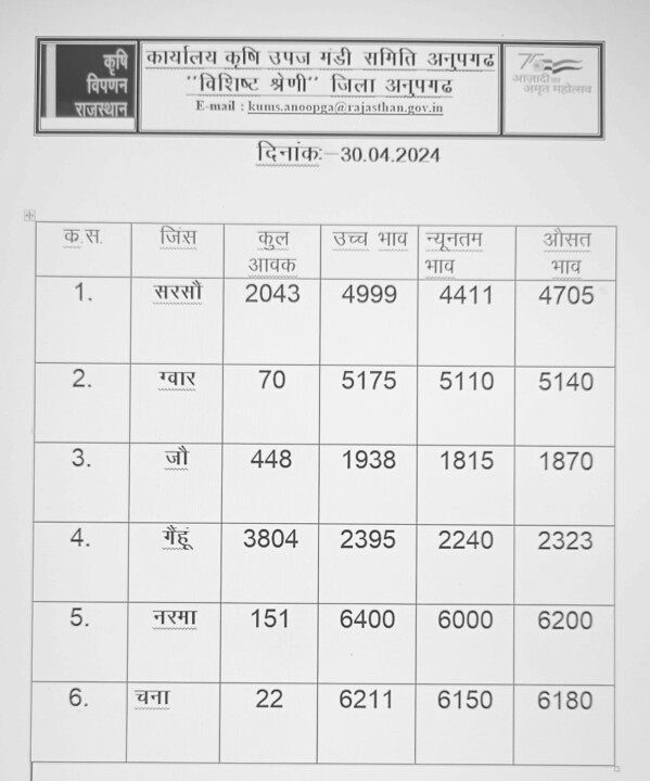 अनूपगढ़ मंडी भाव 30/4/2024